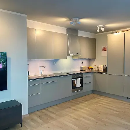公寓 Modern And Apartment! 利勒哈默尔